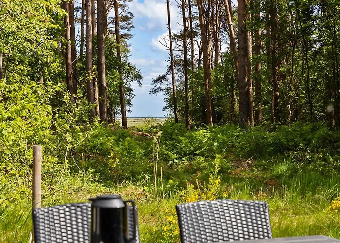 Cozy In With Sauna 別荘 *